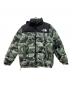THE NORTH FACE（ザ ノース フェイス）の古着「Novelty Nuptse Jacket ND91842」｜グリーン
