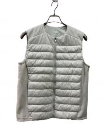 THE NORTHFACE PURPLELABEL（ザ・ノースフェイス パープルレーベル）の古着「Red Run Vest NYW82494」｜グレー