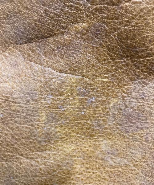 Timberland（ティンバーランド）Timberland (ティンバーランド) レザージャケット ブラウン サイズ:Ｍの古着・服飾アイテム