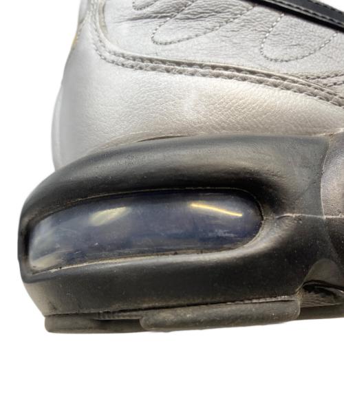 NIKE（ナイキ）NIKE (ナイキ) Nike Air Max Plus Tiempo シルバー サイズ:28.5の古着・服飾アイテム