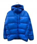 Patagoniaパタゴニア）の古着「Fitz Roy Down Hoody」｜スカイブルー