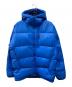 Patagonia（パタゴニア）の古着「Fitz Roy Down Hoody」｜スカイブルー