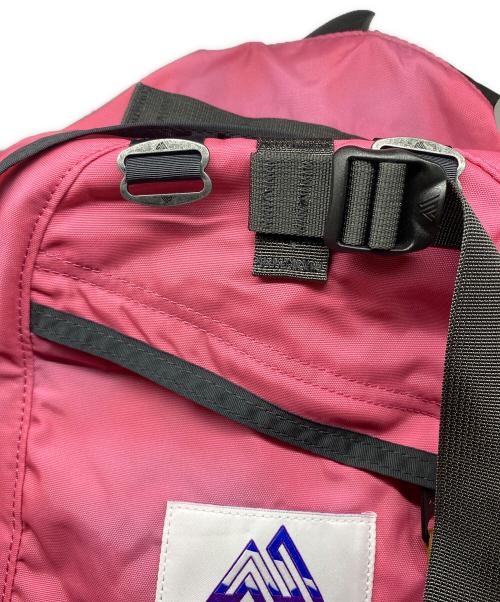 GREGORY（グレゴリー）GREGORY (グレゴリー) BEAMS BOY (ビームスボーイ) 別注 VINTAGE NICE DAY ピンクの古着・服飾アイテム