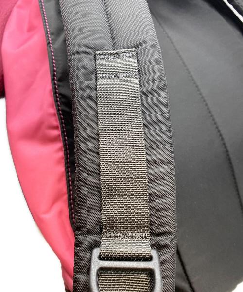 GREGORY（グレゴリー）GREGORY (グレゴリー) BEAMS BOY (ビームスボーイ) 別注 VINTAGE NICE DAY ピンクの古着・服飾アイテム