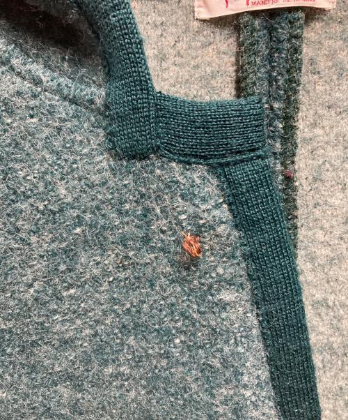 PAPAS（パパス）PAPAS (パパス) ウールジャケット グリーン サイズ:サイズ詳細参照の古着・服飾アイテム