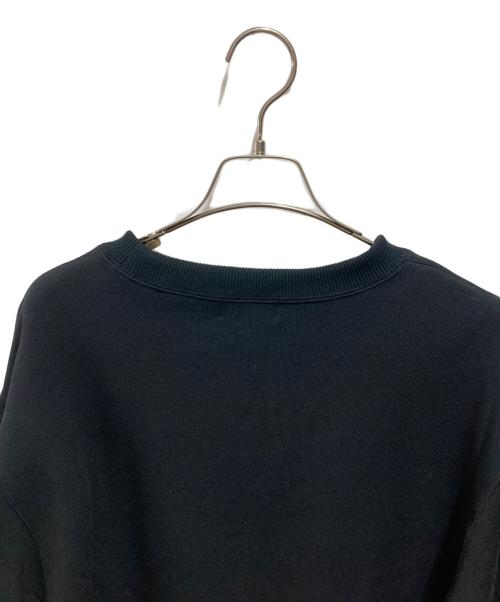 NEUTRALWORKS.（ニュートラルワークス.）NEUTRALWORKS. (ニュートラルワークス.) BARITON/ HWS LONG SLEEVE CREW ブラック サイズ:Lの古着・服飾アイテム