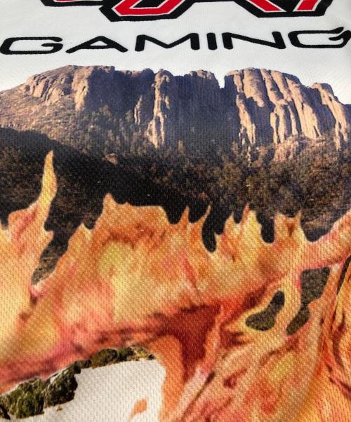 cactus jack（カクタス・ジャック）cactus jack (カクタス・ジャック) Gaming L/S Jersey カットソー ホワイト サイズ:XLの古着・服飾アイテム