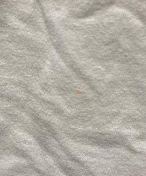 SUPREME（シュプリーム）SUPREME (シュプリーム) 17AW Arm Tee ホワイト サイズ:Ｍの古着・服飾アイテム