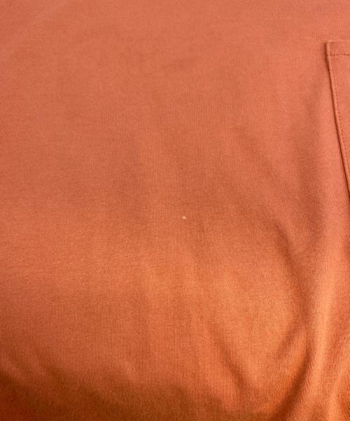 THE NORTHFACE PURPLELABEL（ザ・ノースフェイス パープルレーベル）THE NORTHFACE PURPLELABEL (ザ・ノースフェイス パープルレーベル) Tシャツ オレンジ サイズ:Ｍの古着・服飾アイテム