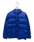 THE NORTH FACE（ザ ノース フェイス）の古着「SIERRA SHORT HOODIE」｜ブルー