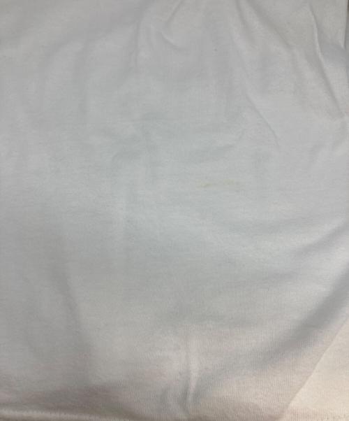 stussy（ステューシー）stussy (ステューシー) Tシャツ ホワイト サイズ:Ｍの古着・服飾アイテム