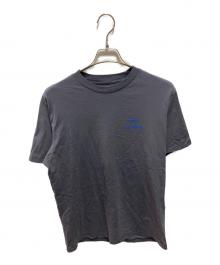 ARC'TERYX（アークテリクス）の古着「Kragg SL Cotton Bird Word SS」｜ネイビー