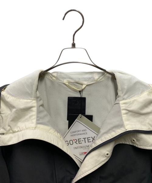 DAIWA PIER39（ダイワ ピア39）DAIWA PIER39 (ダイワ ピア39) TECH LOGGER MOUNTAIN PARKA グレー サイズ:ｌ 未使用品の古着・服飾アイテム