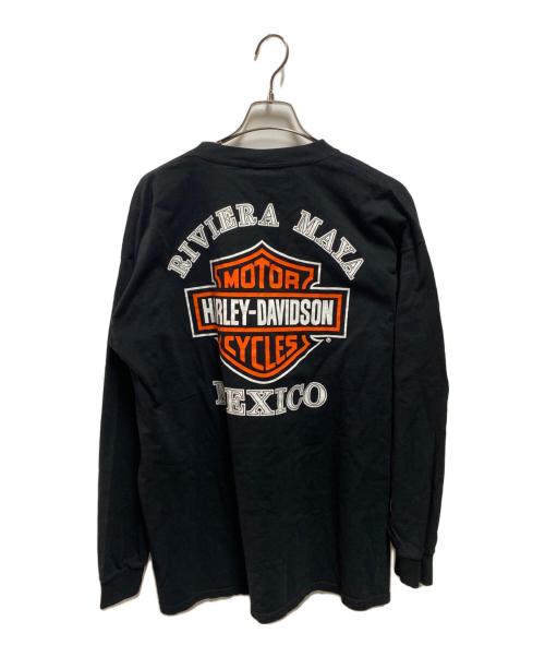 HARLEY-DAVIDSON（ハーレーダビッドソン）HARLEY-DAVIDSON (ハーレーダビッドソン) プリントカットソー ブラック サイズ:XXLの古着・服飾アイテム