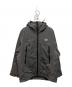 Lowe Alpine（ロウアルパイン）の古着「POLARTEC CHAMONIX JACKET」｜グレー