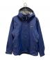 Patagonia（パタゴニア）の古着「W'S TORRENTSHELL 3L」｜ブルー
