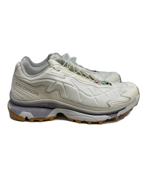 SALOMON（サロモン）SALOMON (サロモン) and wander (アンドワンダー) XT-SLATE ホワイト サイズ:29cmの古着・服飾アイテム
