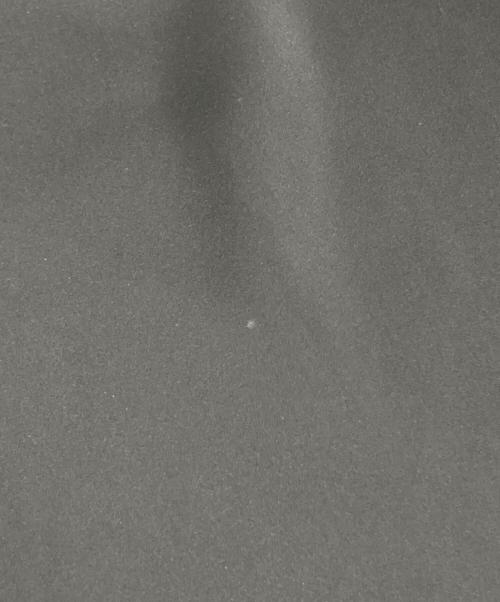 adidas（アディダス）adidas (アディダス) Graphics Floral Firebird Track Pants ブラック サイズ:XLの古着・服飾アイテム