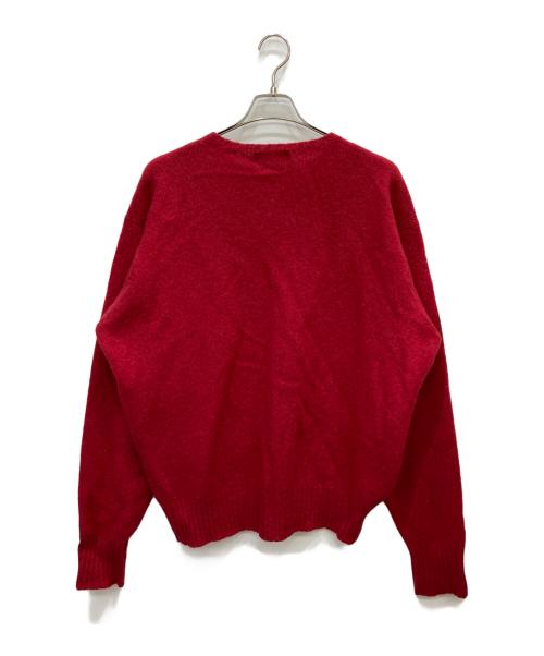POLO RALPH LAUREN（ポロ・ラルフローレン）POLO RALPH LAUREN (ポロ・ラルフローレン) ラムウールニット レッド サイズ:XXLの古着・服飾アイテム