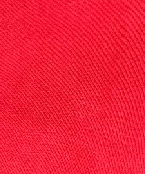 POLO RALPH LAUREN（ポロ・ラルフローレン）POLO RALPH LAUREN (ポロ・ラルフローレン) ポロベアプリントプルオーバーパーカー レッド サイズ:Lの古着・服飾アイテム