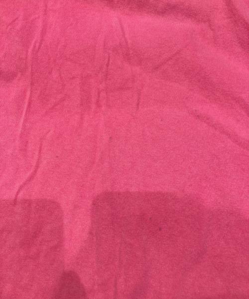 stussy（ステューシー）stussy (ステューシー) ロングカットソー ピンク サイズ:Lの古着・服飾アイテム