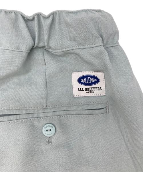 CHALLENGER（チャレンジャー）CHALLENGER (チャレンジャー) PANAMA PANTS/パナマパンツ スカイブルー サイズ:SMALLの古着・服飾アイテム