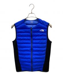 THE NORTH FACE（ザ ノース フェイス）の古着「レッドランプロベスト」｜ブルー