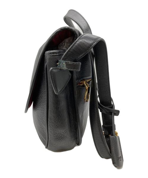 LOEWE（ロエベ）LOEWE (ロエベ) ヘリテージショルダーバッグ ブラック サイズ:表記なしの古着・服飾アイテム