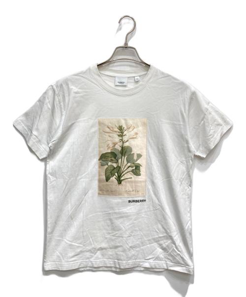 BURBERRY（バーバリー）BURBERRY (バーバリー) CARRICK SATIN ホワイト サイズ:xxsの古着・服飾アイテム