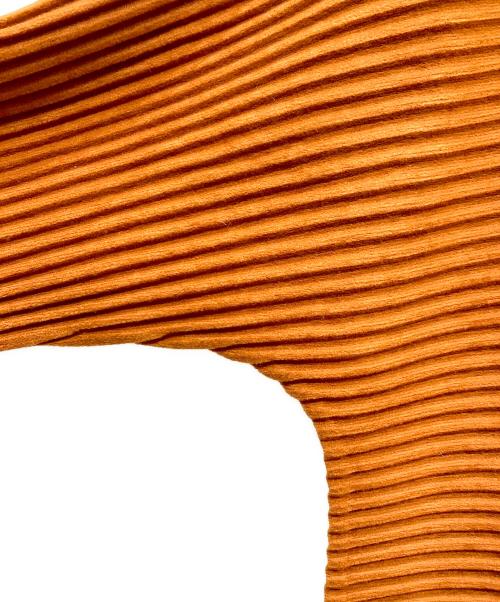 me ISSEY MIYAKE（ミーイッセイ ミヤケ）me ISSEY MIYAKE (ミーイッセイ ミヤケ) 起毛プリーツハイネックカットソー ブラウン サイズ:表記なしの古着・服飾アイテム