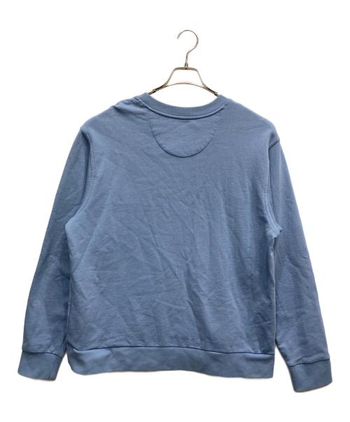 Patagonia（パタゴニア）Patagonia (パタゴニア) デイリー・クルーネック・スウェット ブルー サイズ:Mの古着・服飾アイテム