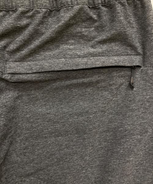 THE NORTH FACE（ザ ノース フェイス）THE NORTH FACE (ザ ノース フェイス) ジョガーパンツ グレー サイズ:Ⅼの古着・服飾アイテム