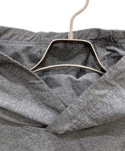 THE NORTH FACE（ザ ノース フェイス）THE NORTH FACE (ザ ノース フェイス) パーカー グレー サイズ:Lの古着・服飾アイテム