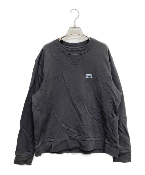 Patagonia（パタゴニア）Patagonia (パタゴニア) デイリー・クルーネック・スウェット グレー サイズ:Mの古着・服飾アイテム