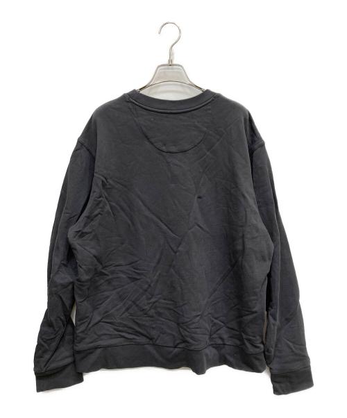 Patagonia（パタゴニア）Patagonia (パタゴニア) デイリー・クルーネック・スウェット グレー サイズ:Mの古着・服飾アイテム