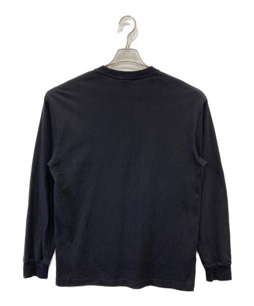 THE NORTH FACE（ザ ノース フェイス）THE NORTH FACE (ザ ノース フェイス) 長袖カットソー ブラック サイズ:Ⅼの古着・服飾アイテム