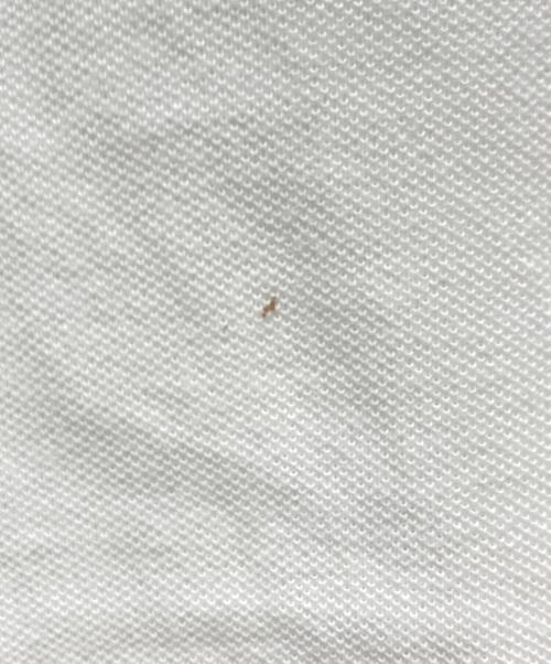 POLO RALPH LAUREN（ポロ・ラルフローレン）POLO RALPH LAUREN (ポロ・ラルフローレン) ポロシャツ ホワイト サイズ:Mの古着・服飾アイテム