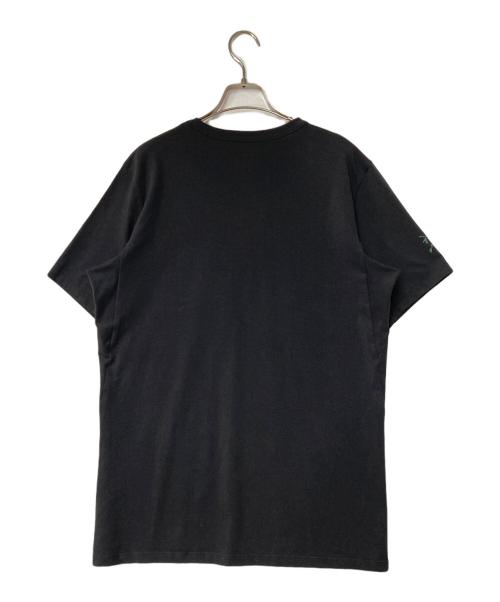 ARC'TERYX（アークテリクス）ARC'TERYX (アークテリクス) Captive Downword T-Shirts/キャプティブ ダウンワード Tシャツ ブラック サイズ:Mの古着・服飾アイテム