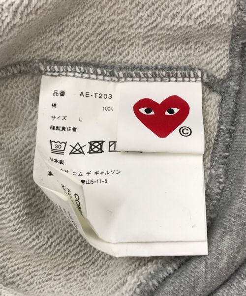 THE NORTH FACE（ザ ノース フェイス）THE NORTH FACE (ザ ノース フェイス) PLAY COMME des GARCONS (プレイ コムデギャルソン) プルオーバーパーカー AE-T203 グレー サイズ:Lの古着・服飾アイテム