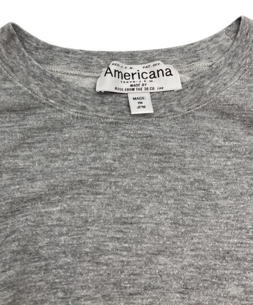 Americana（アメリカーナ）Americana (アメリカーナ) サイドジップカットソーワンピース グレー サイズ:表記なしの古着・服飾アイテム
