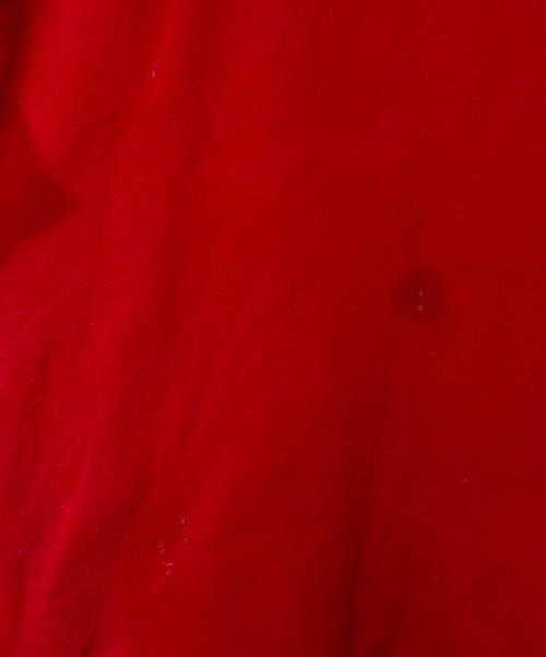 SUPREME（シュプリーム）SUPREME (シュプリーム) FUTURE LOGO CREWNECK/フューチュラ ロゴ クルーネック レッド サイズ:Lの古着・服飾アイテム