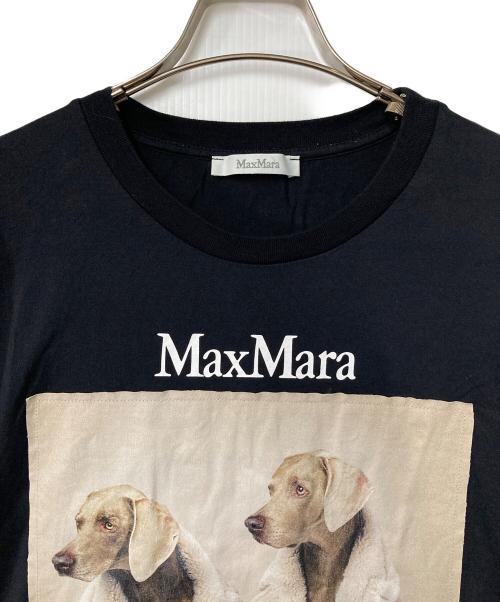 MaxMara（マックスマーラ）MaxMara (マックスマーラ) TACCO ウェグマンプリント Tシャツ ブラック サイズ:SIZE Lの古着・服飾アイテム