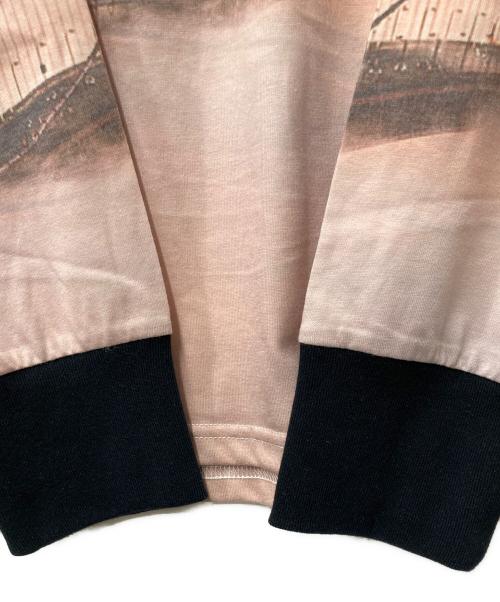 FTC（エフティーシー）FTC (エフティーシー) GGB L/S TOP ロングスリーブカットソー  ブルー×ベージュ サイズ:Mの古着・服飾アイテム