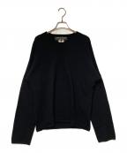 COMME des GARCONS HOMME PLUSコムデギャルソンオムプリュス）の古着「ウールVネックニット」｜ブラック
