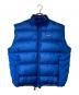Patagonia（パタゴニア）の古着「ダウンベスト」｜ブルー