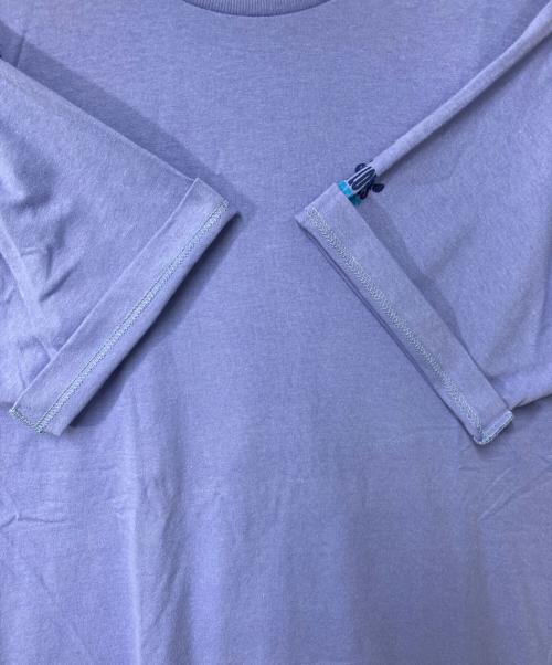 Patagonia（パタゴニア）Patagonia (パタゴニア) プリントTシャツ ブルー サイズ:Sの古着・服飾アイテム