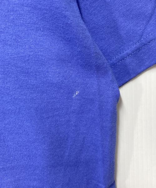 Patagonia（パタゴニア）Patagonia (パタゴニア) プリントTシャツ ブルー サイズ:Sの古着・服飾アイテム