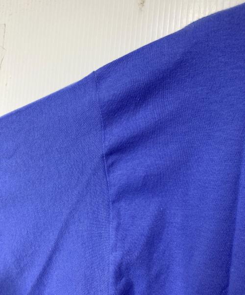 Patagonia（パタゴニア）Patagonia (パタゴニア) プリントTシャツ ブルー サイズ:Sの古着・服飾アイテム