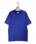 Patagonia（パタゴニア）の古着「プリントTシャツ」｜ブルー
