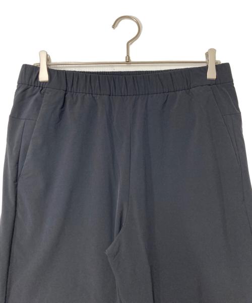 THE NORTH FACE（ザ ノース フェイス）THE NORTH FACE (ザ ノース フェイス) APEX Flex Pant ブラック サイズ:Lの古着・服飾アイテム